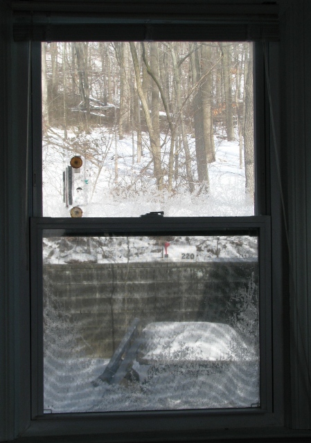 Rừng Tuyết bên ngoài cửa sổ
