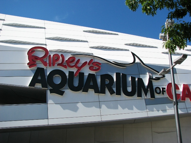 Ripley's aquarium