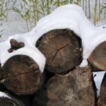 Đống gỗ trước nhà bị tuyết phủ